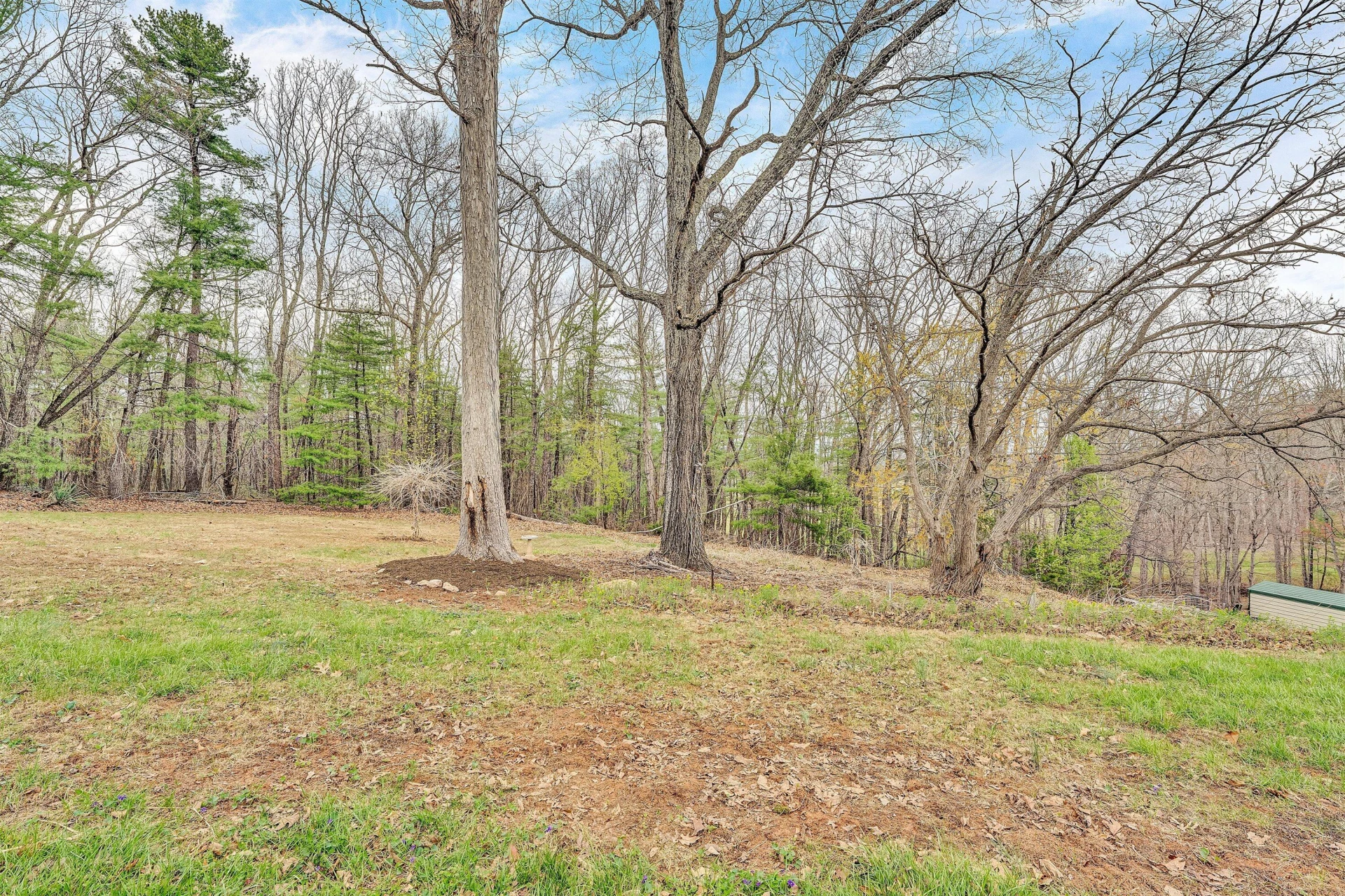 1717 Wirtz RD - Photo 47