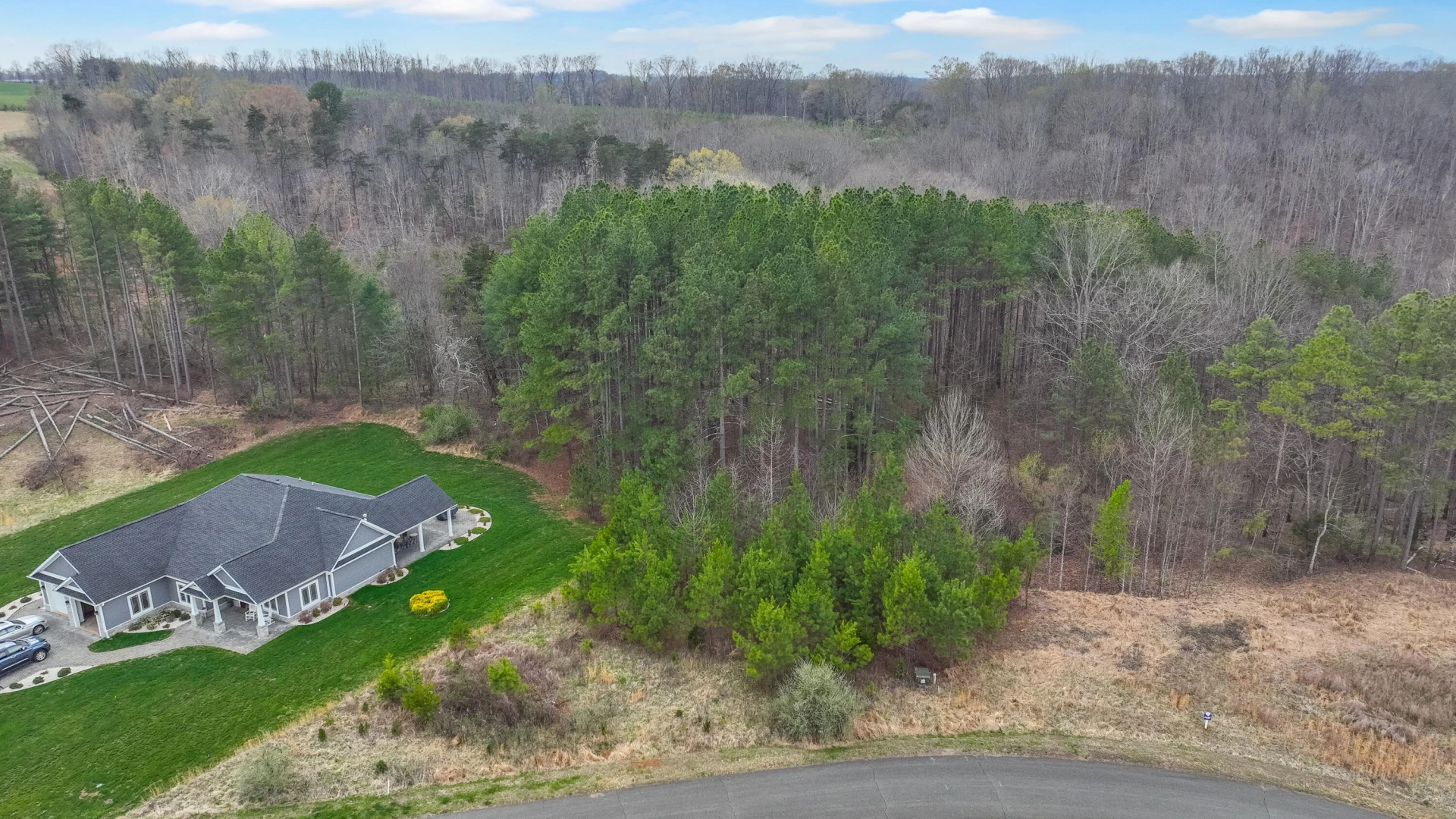 Lot 9 Pine Watch CIR
