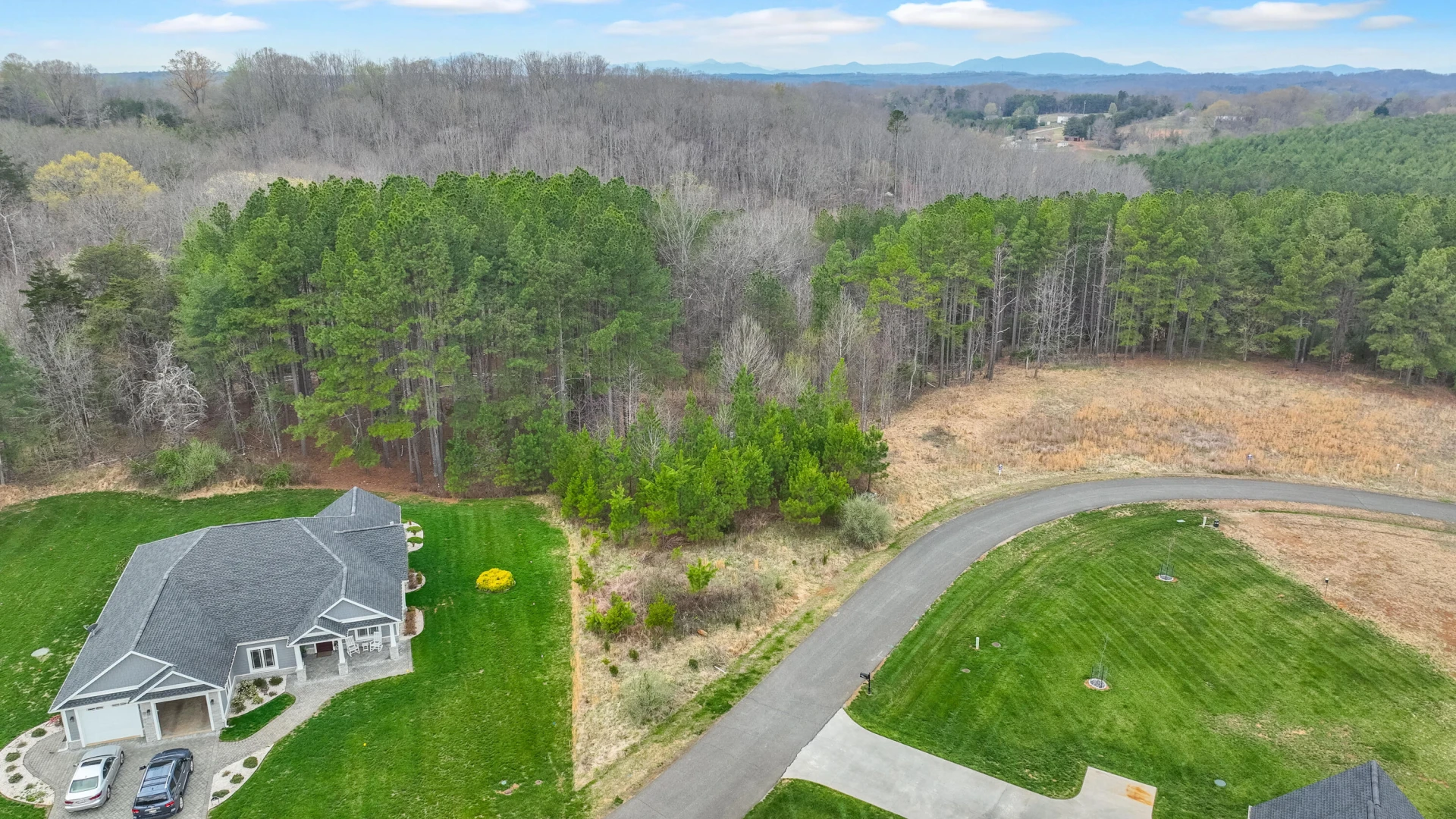 Lot 9 Pine Watch CIR - Photo 3