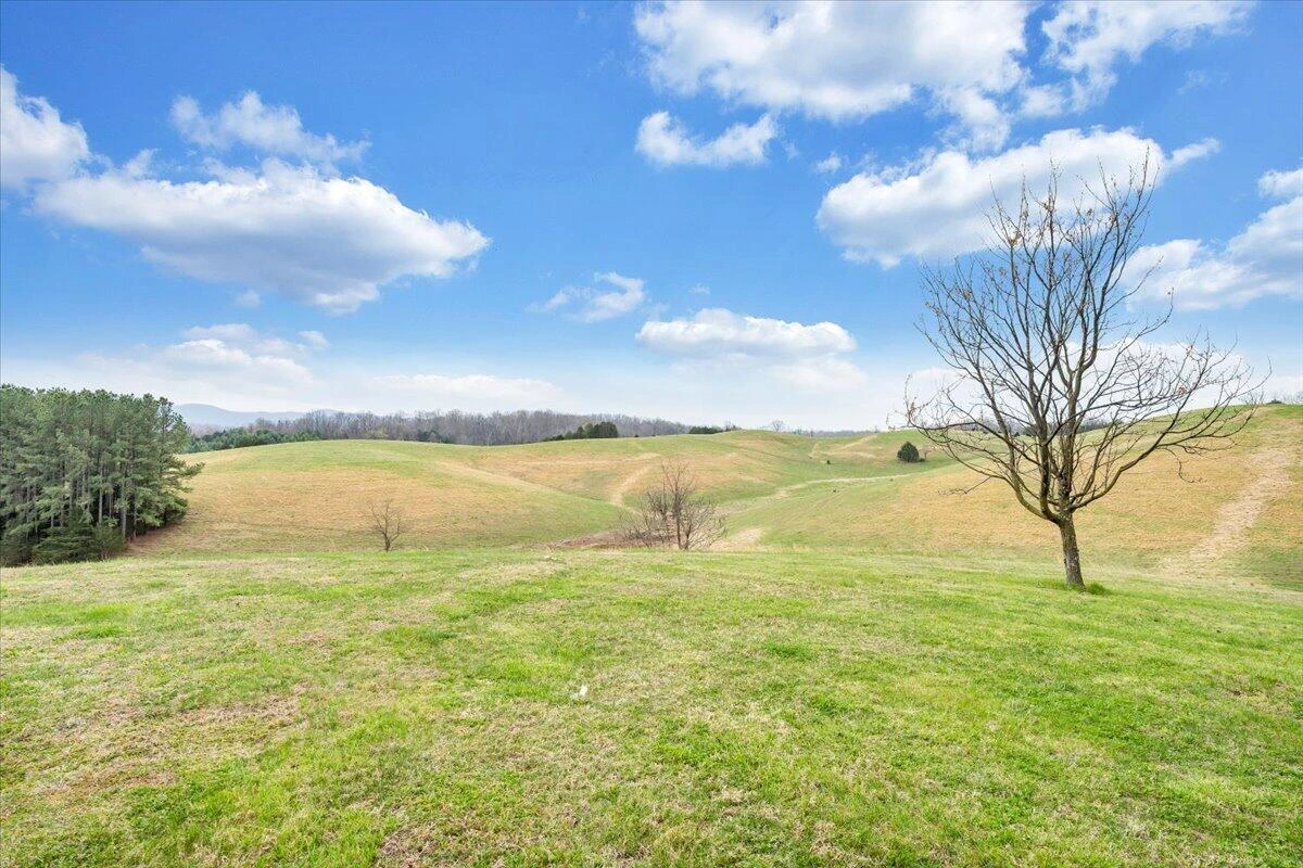 1905 Mount Joy RD - Photo 59