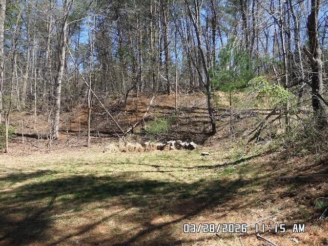 80 Green Meadow LN - Photo 24