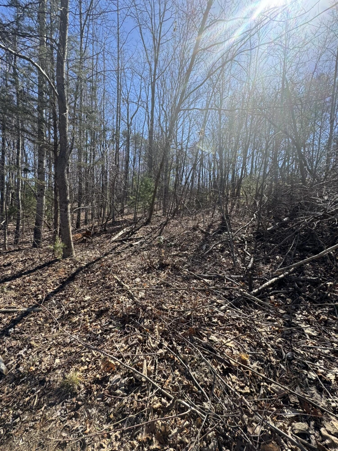 Lot 7A Navajo CIR