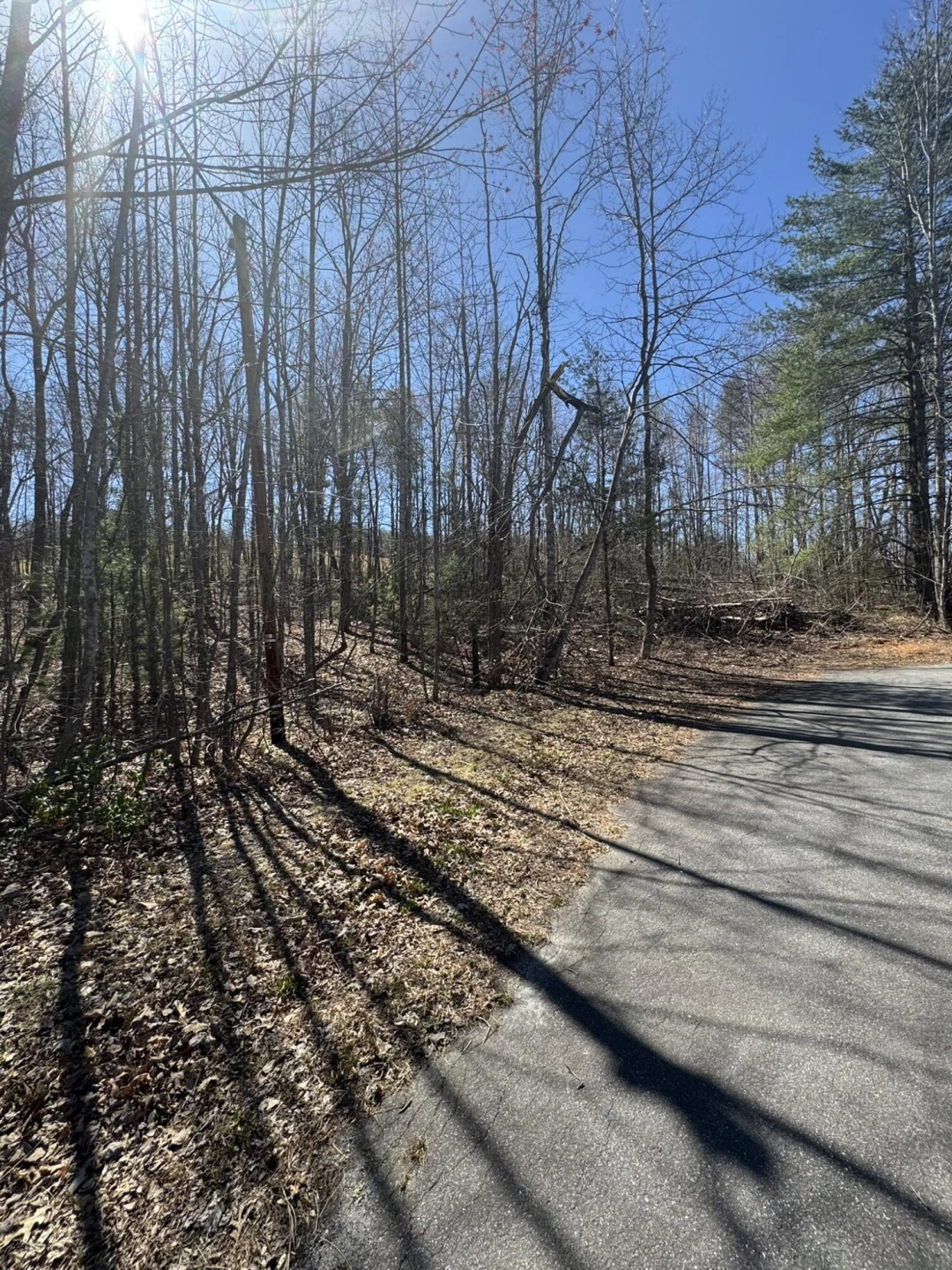 Lot 7A Navajo CIR - Photo 2