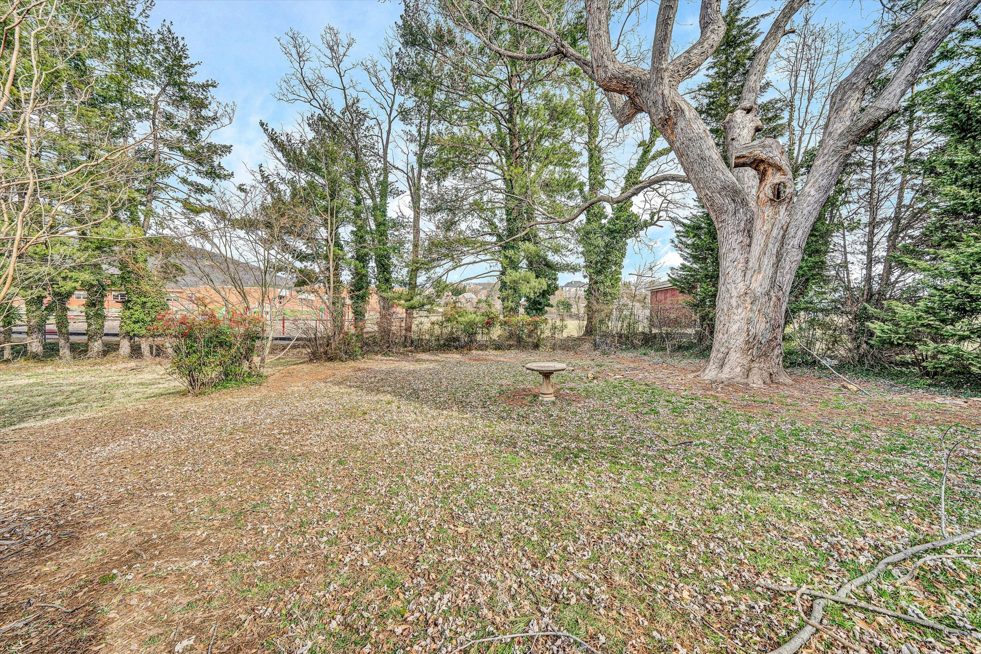 919 LOGAN ST - Photo 24