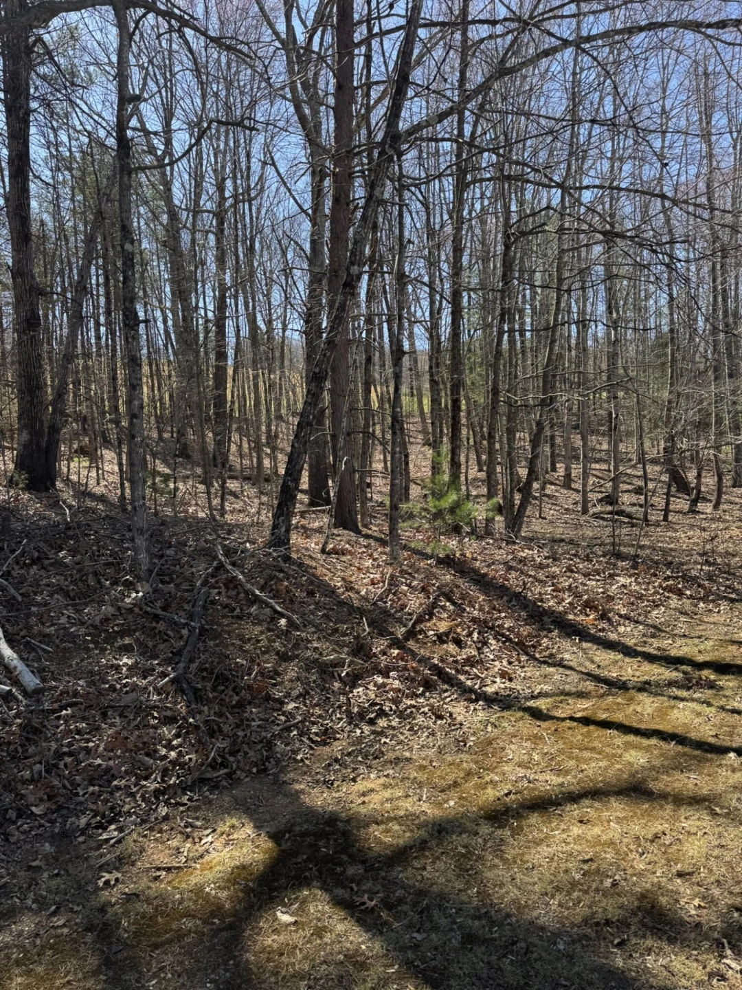 Lot 10A Navajo CIR