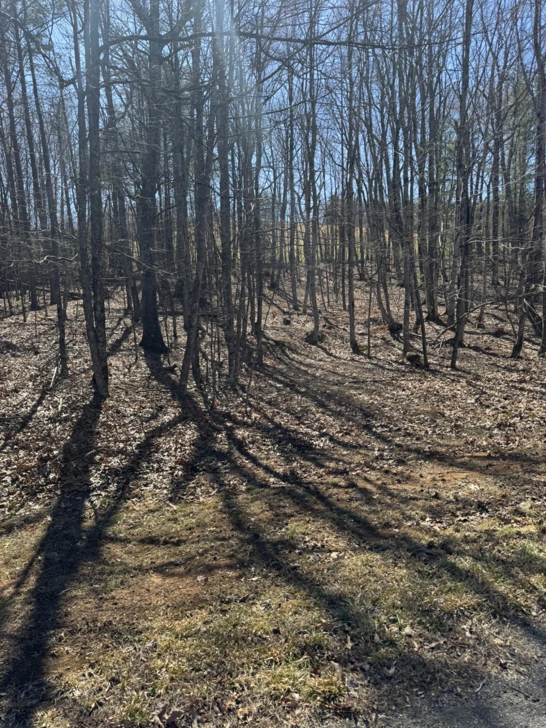 Lot 10A Navajo CIR - Photo 2