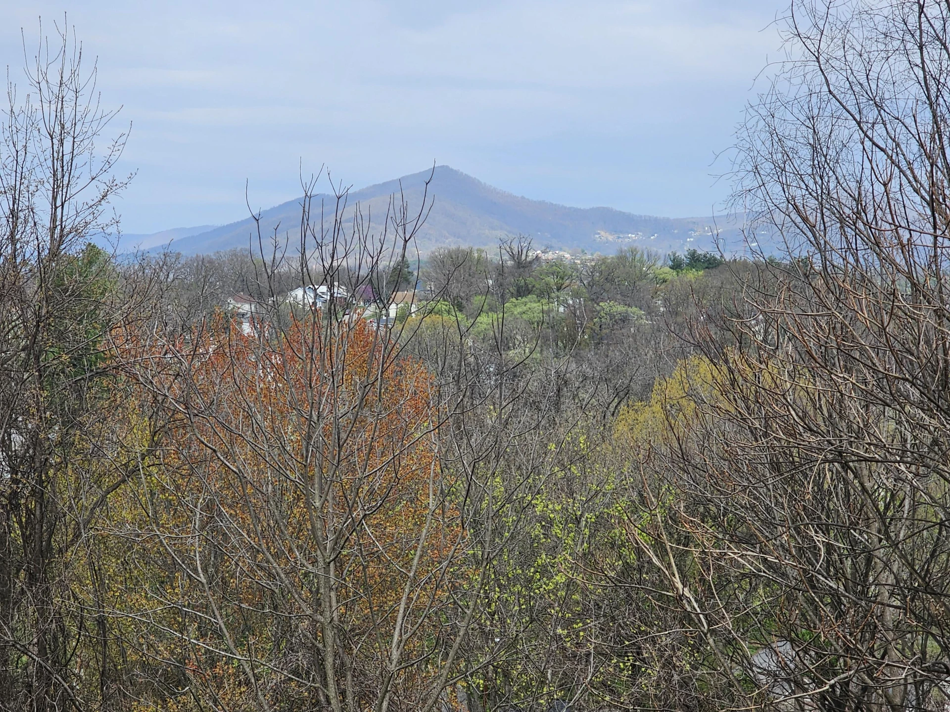 1332 Morningside ST SE - Photo 10