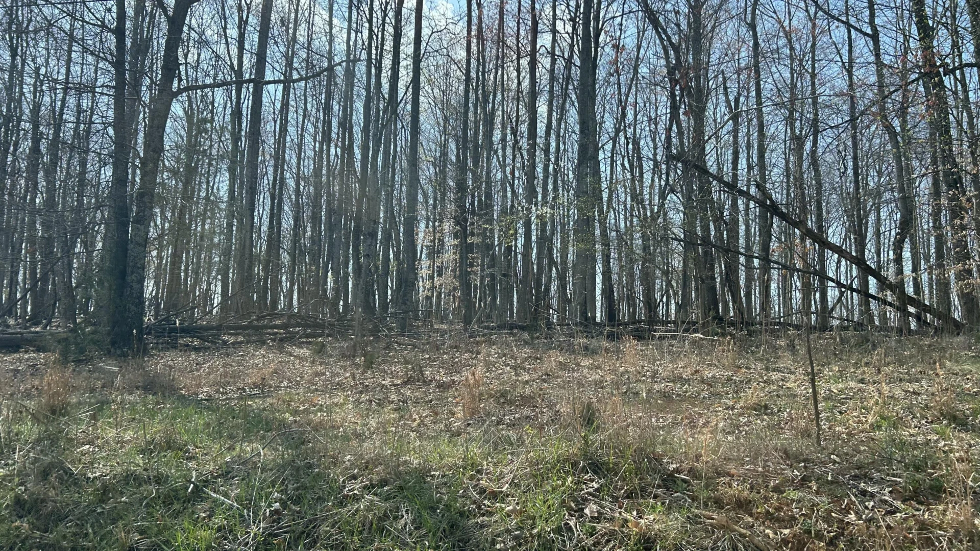 0 Cottontown RD
