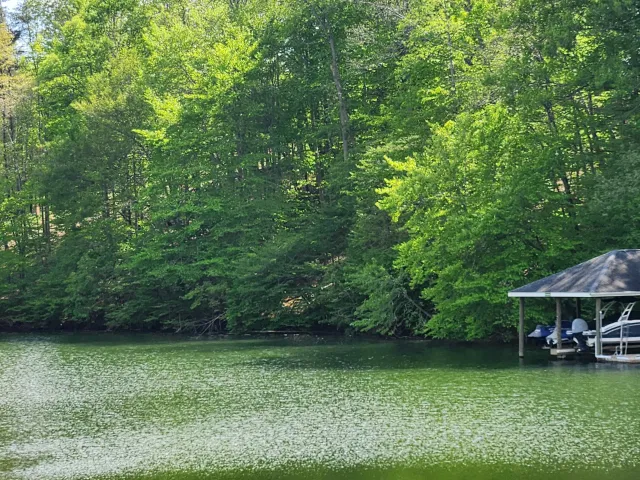 64 Lakewatch CIR, Hardy, VA, 24101