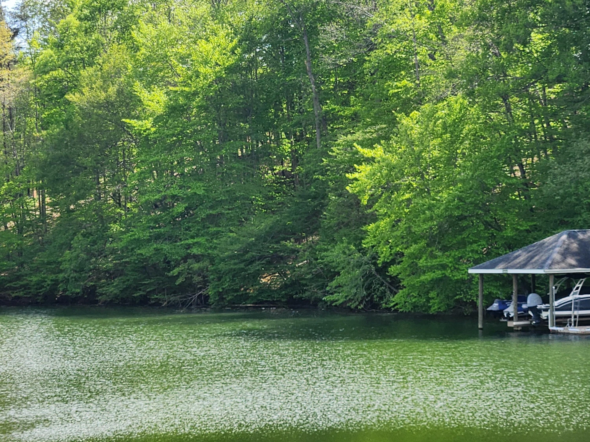 64 Lakewatch CIR
