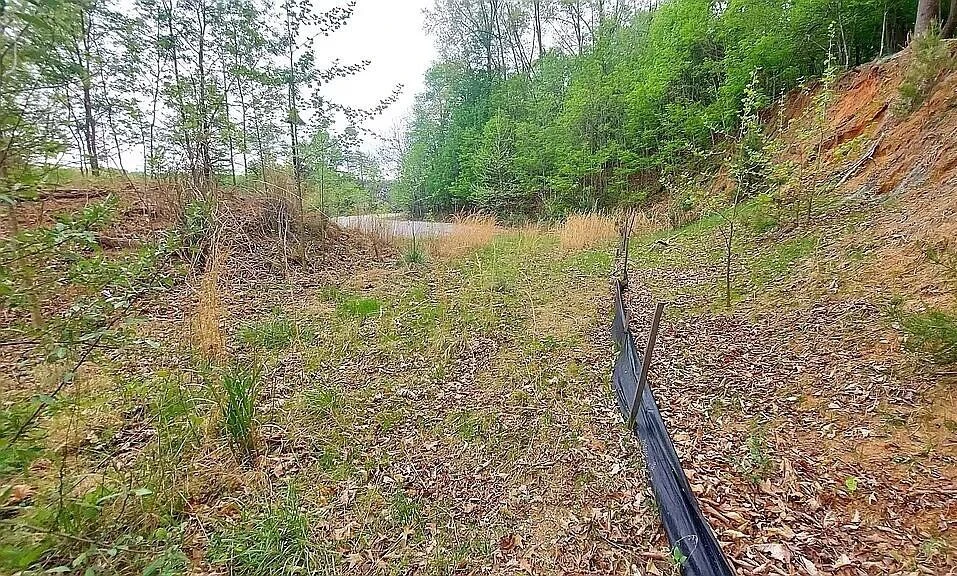 64 Lakewatch CIR - Photo 6