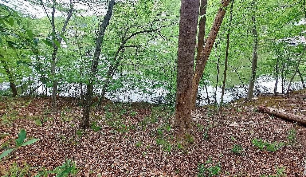 64 Lakewatch CIR - Photo 7