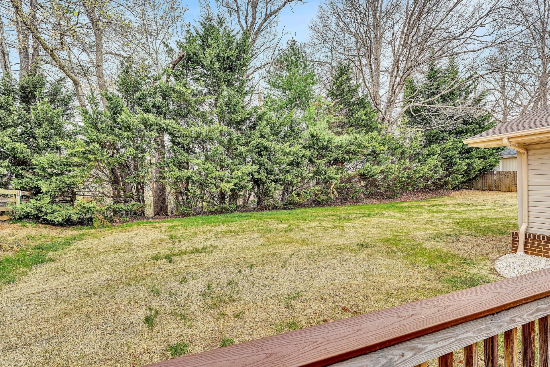 4925 Grape Tree LN - Photo 39