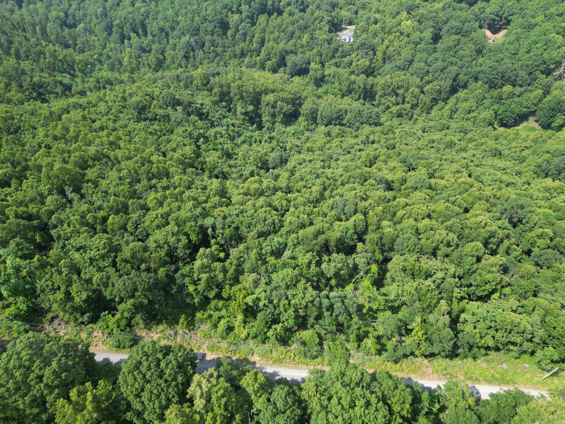 00 WHISPERING HEIGHTS DR - Photo 8