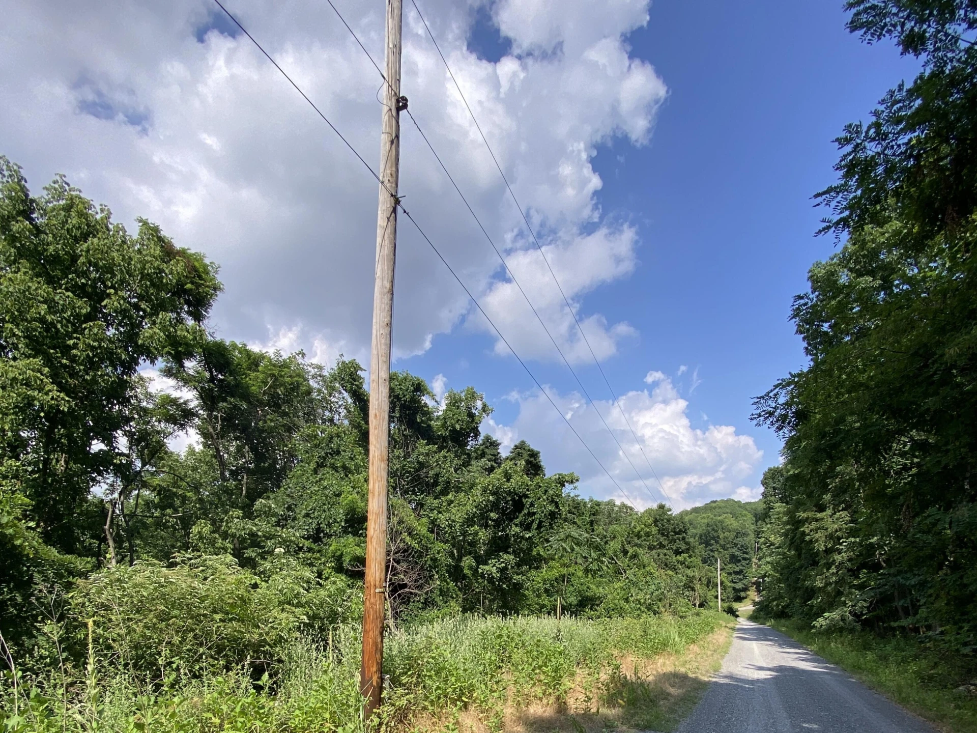 00 WHISPERING HEIGHTS DR - Photo 9