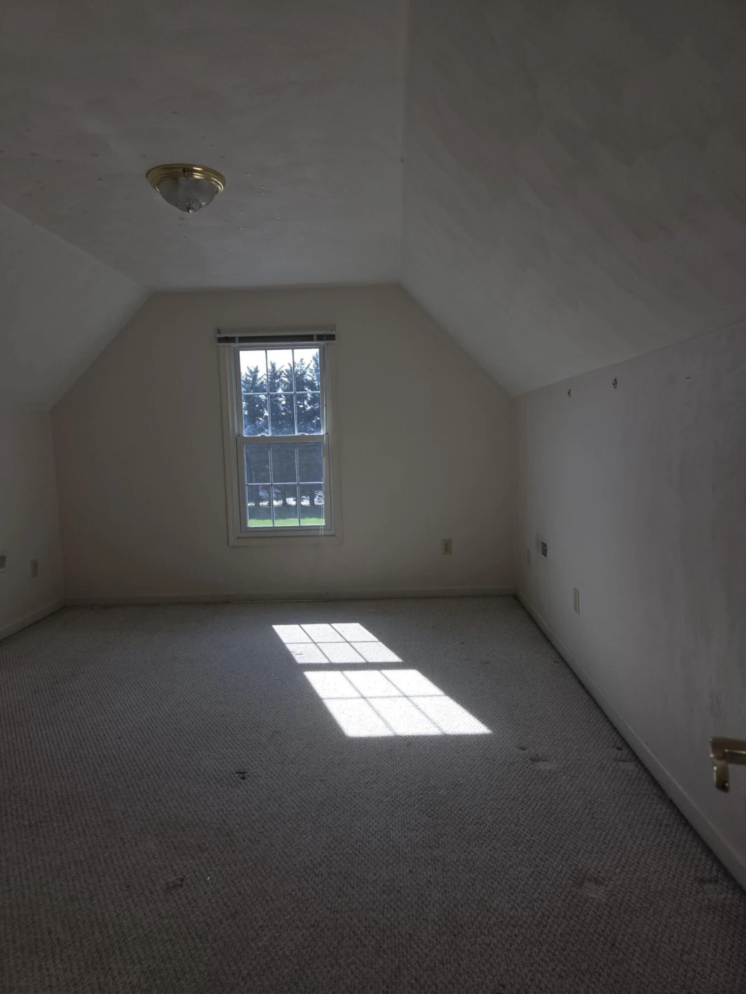 48 Highfield LN - Photo 22