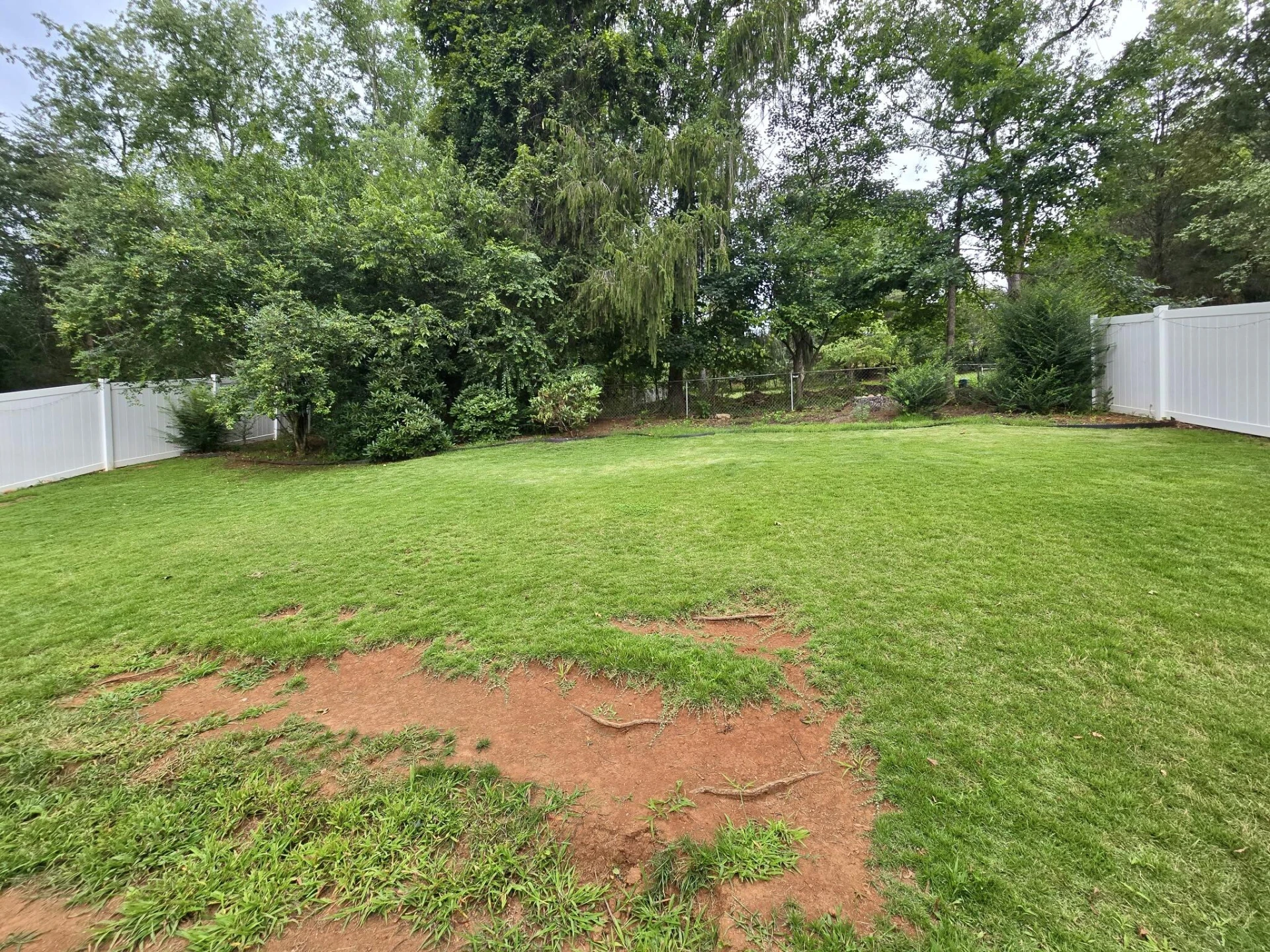 3865 Meadowlark RD - Photo 18