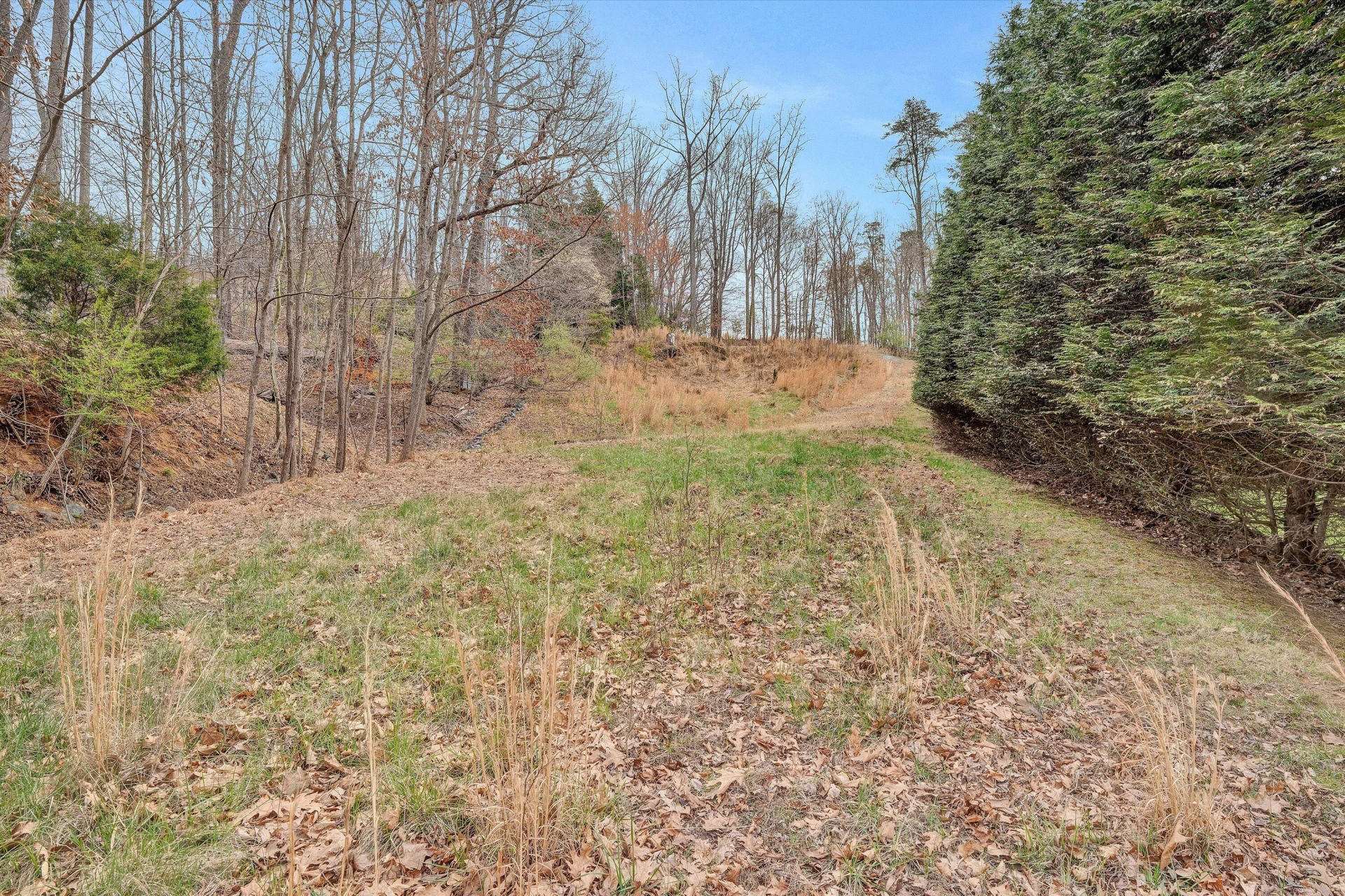 951 Piney Point RD - Photo 9