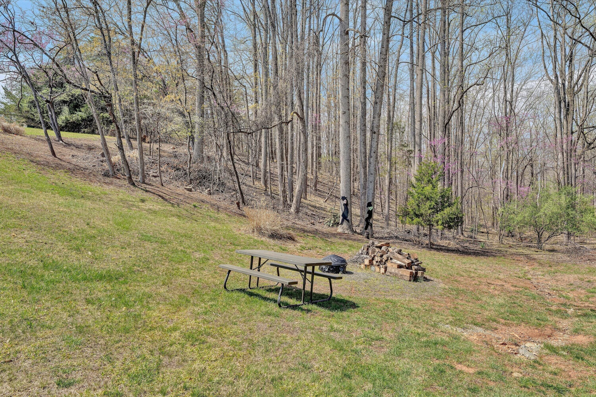 301 Indian Ridge DR - Photo 52