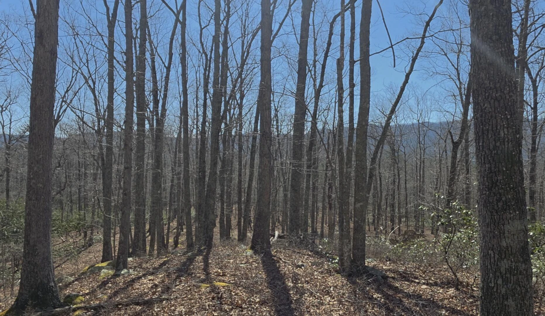 0 Hall RD - Photo 3