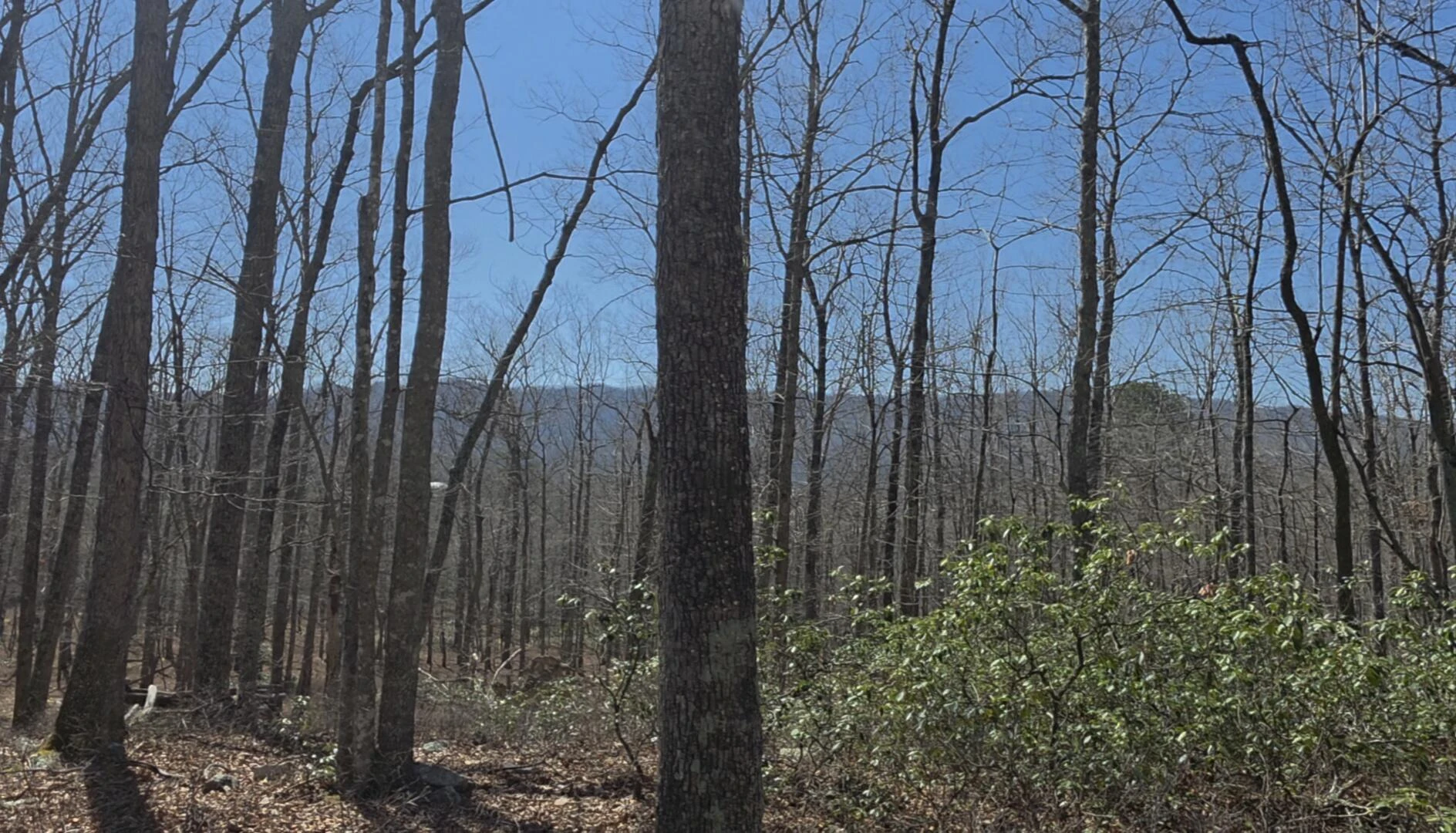 0 Hall RD - Photo 5