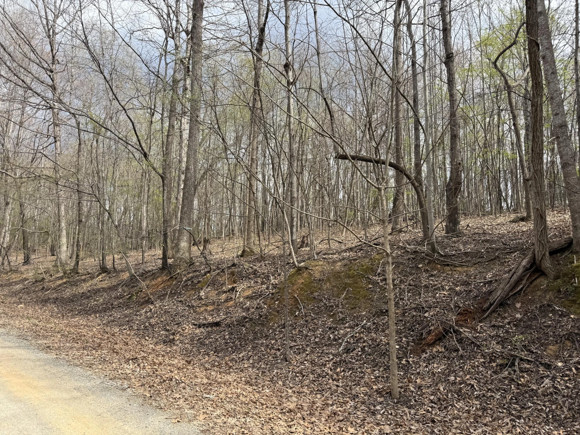 0 Back Creek RD - Photo 2