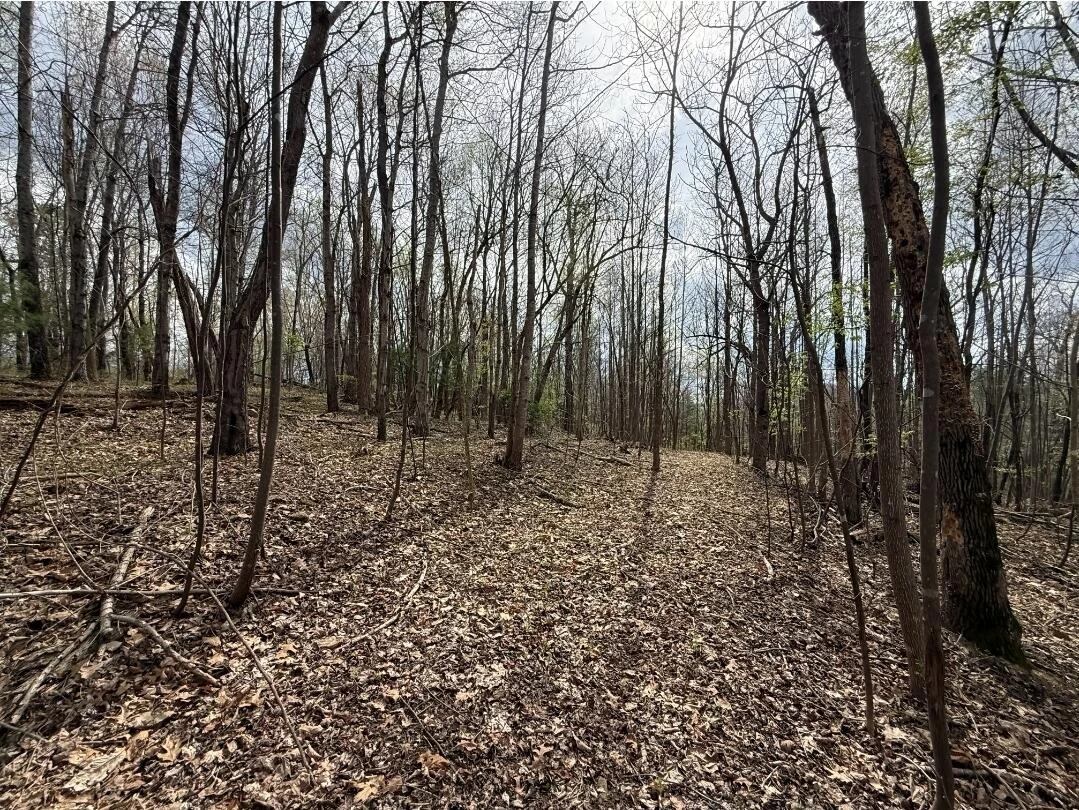 0 Back Creek RD - Photo 4