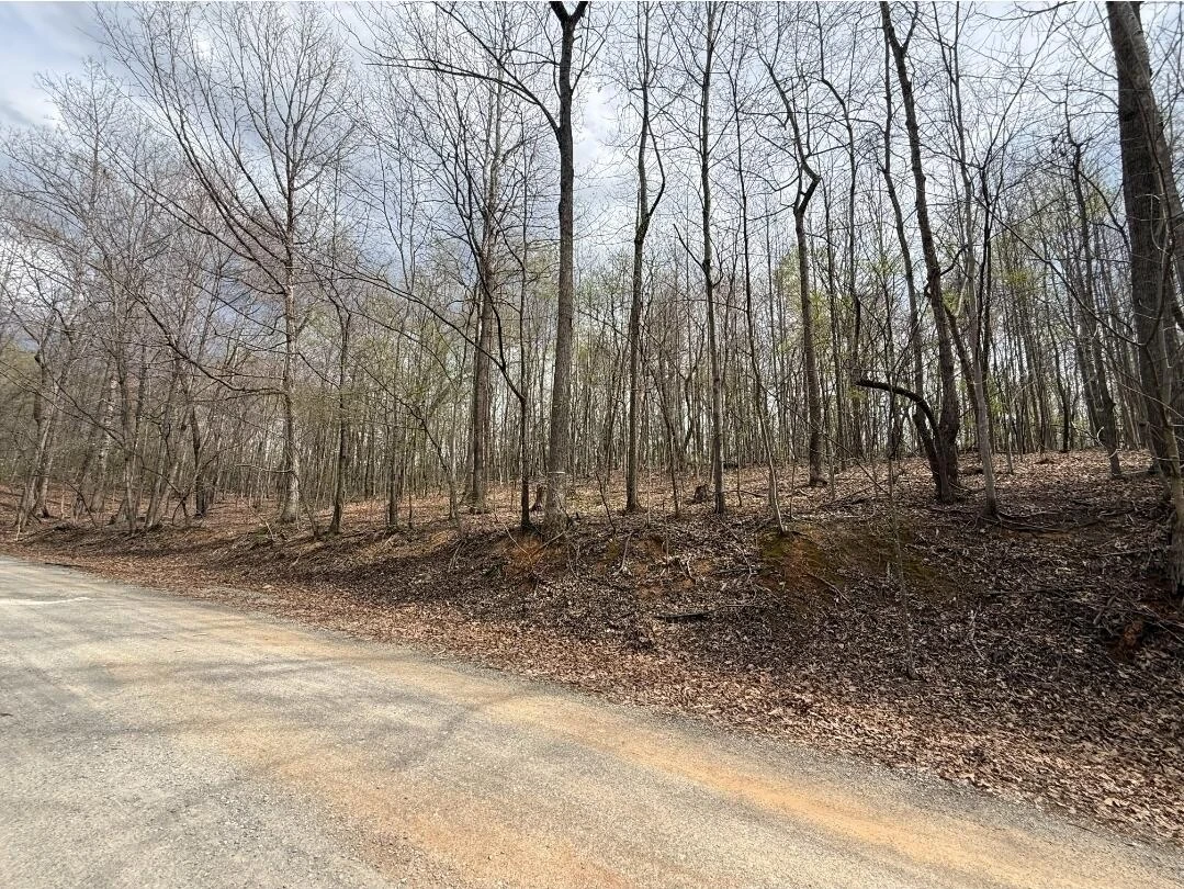 0 Back Creek RD - Photo 6