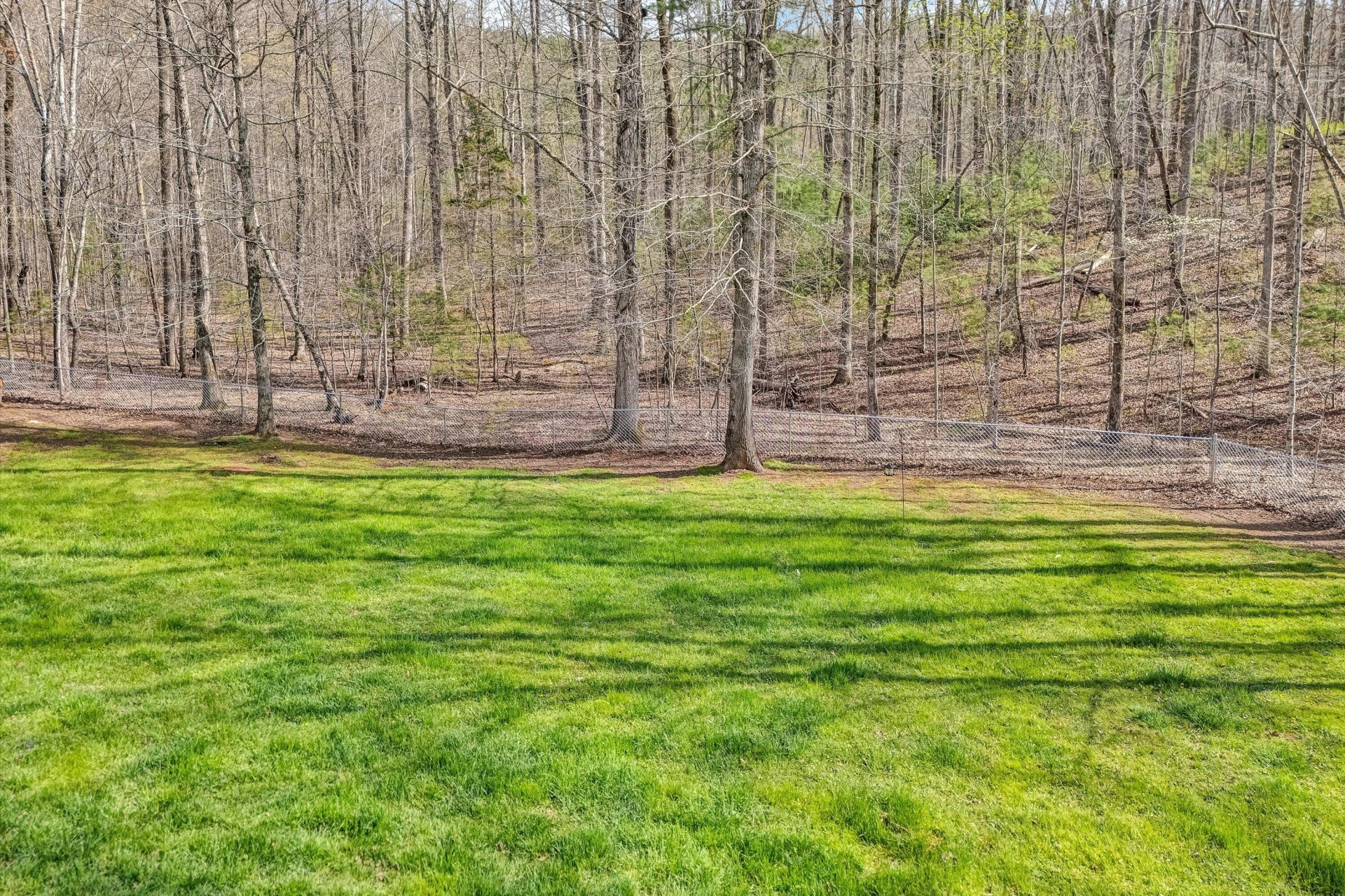 542 Mount Airy RD - Photo 8