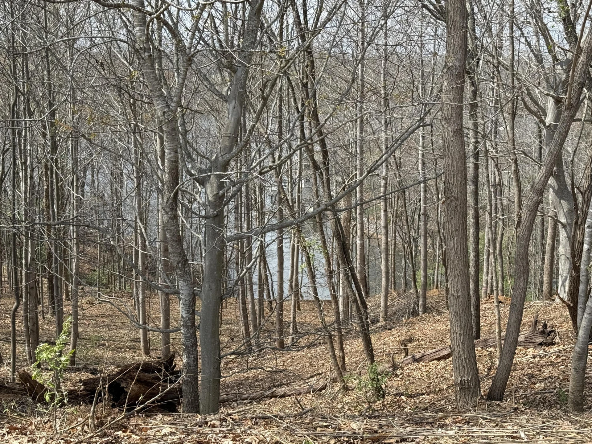 LOT 13 MINNOW LN - Photo 11