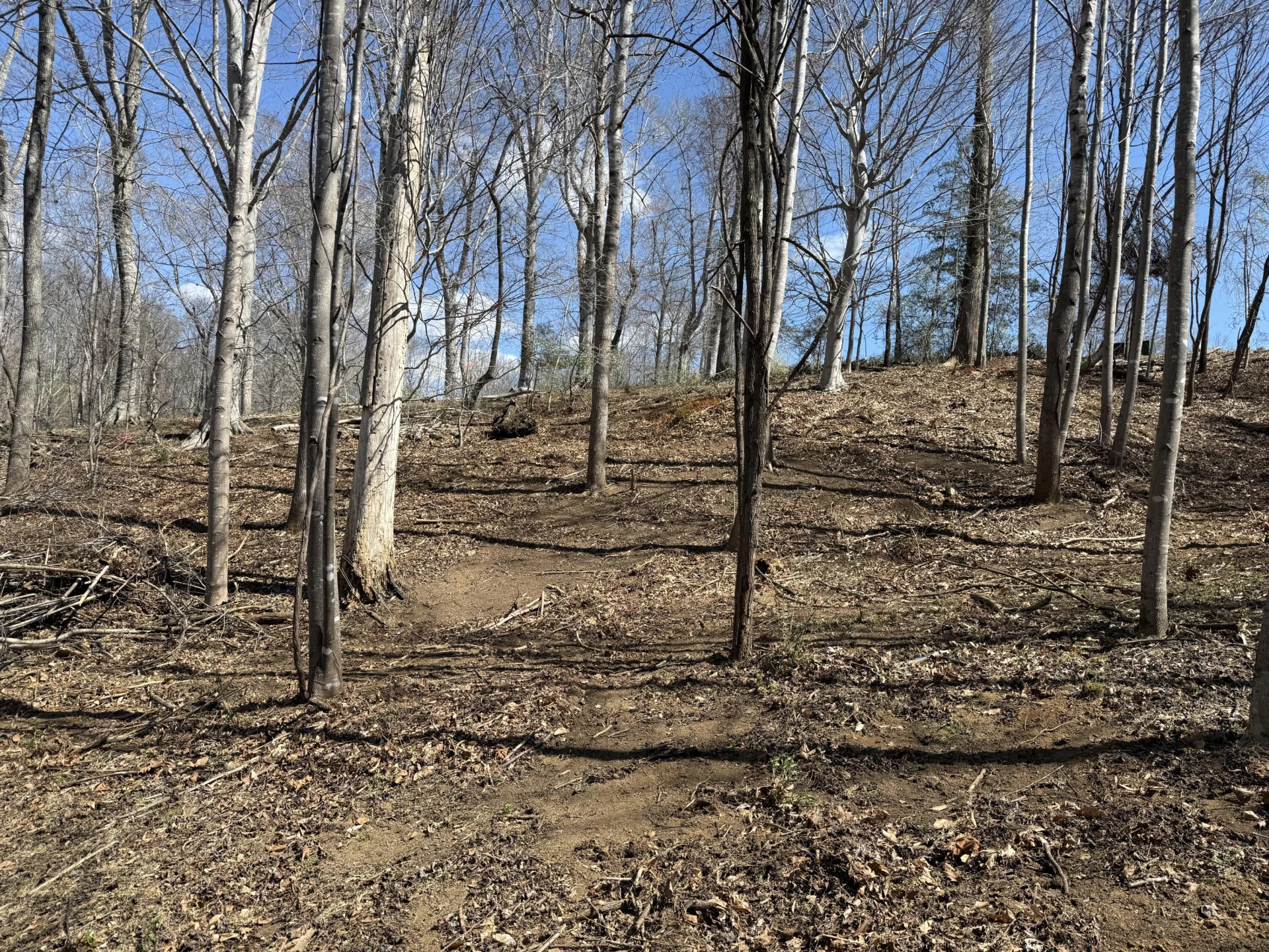 LOT 13 MINNOW LN - Photo 3