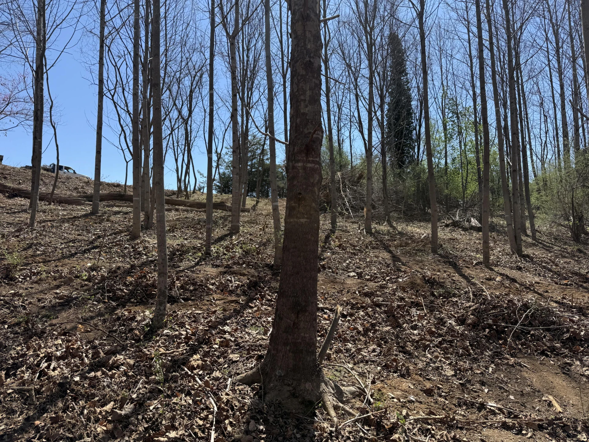 LOT 13 MINNOW LN - Photo 4