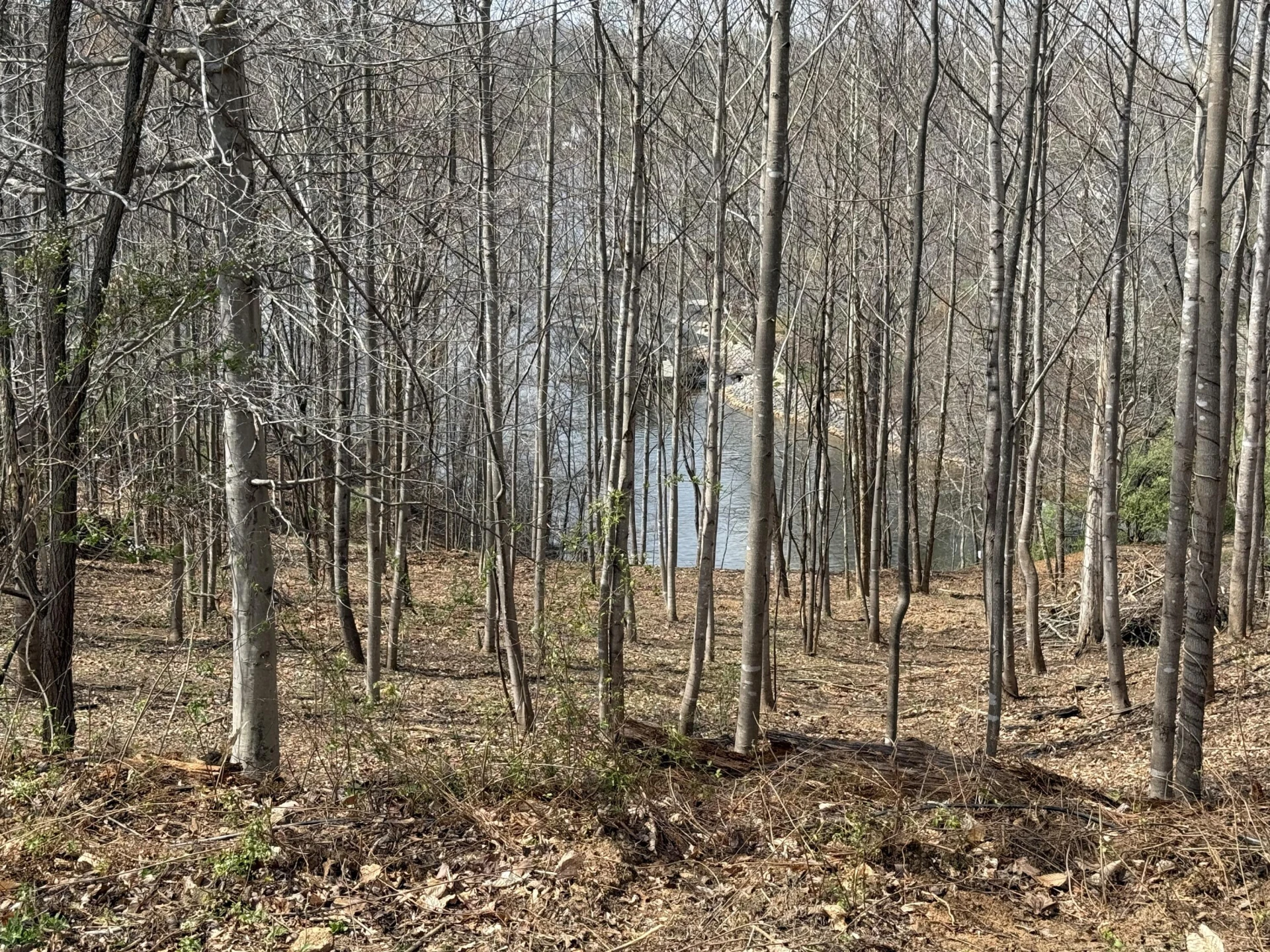 LOT 13 MINNOW LN - Photo 10