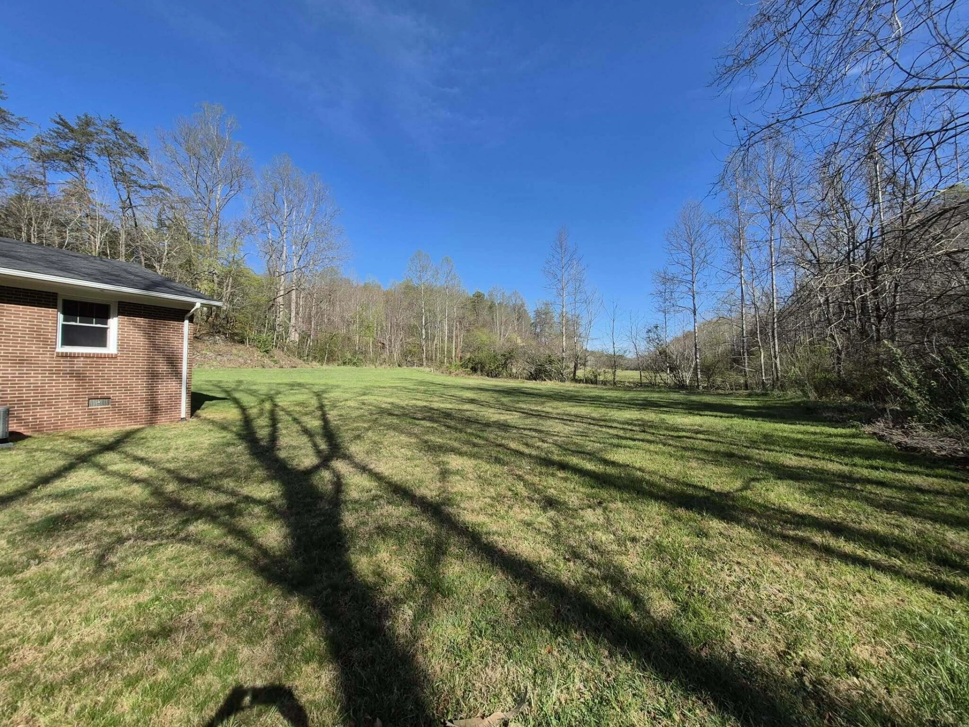 1232 Prillaman Switch RD - Photo 12