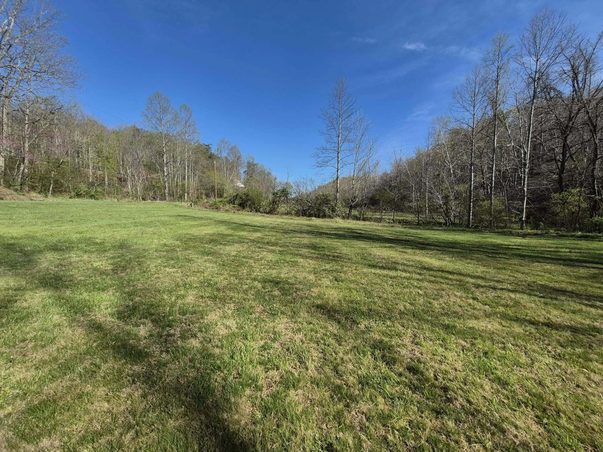1232 Prillaman Switch RD - Photo 4