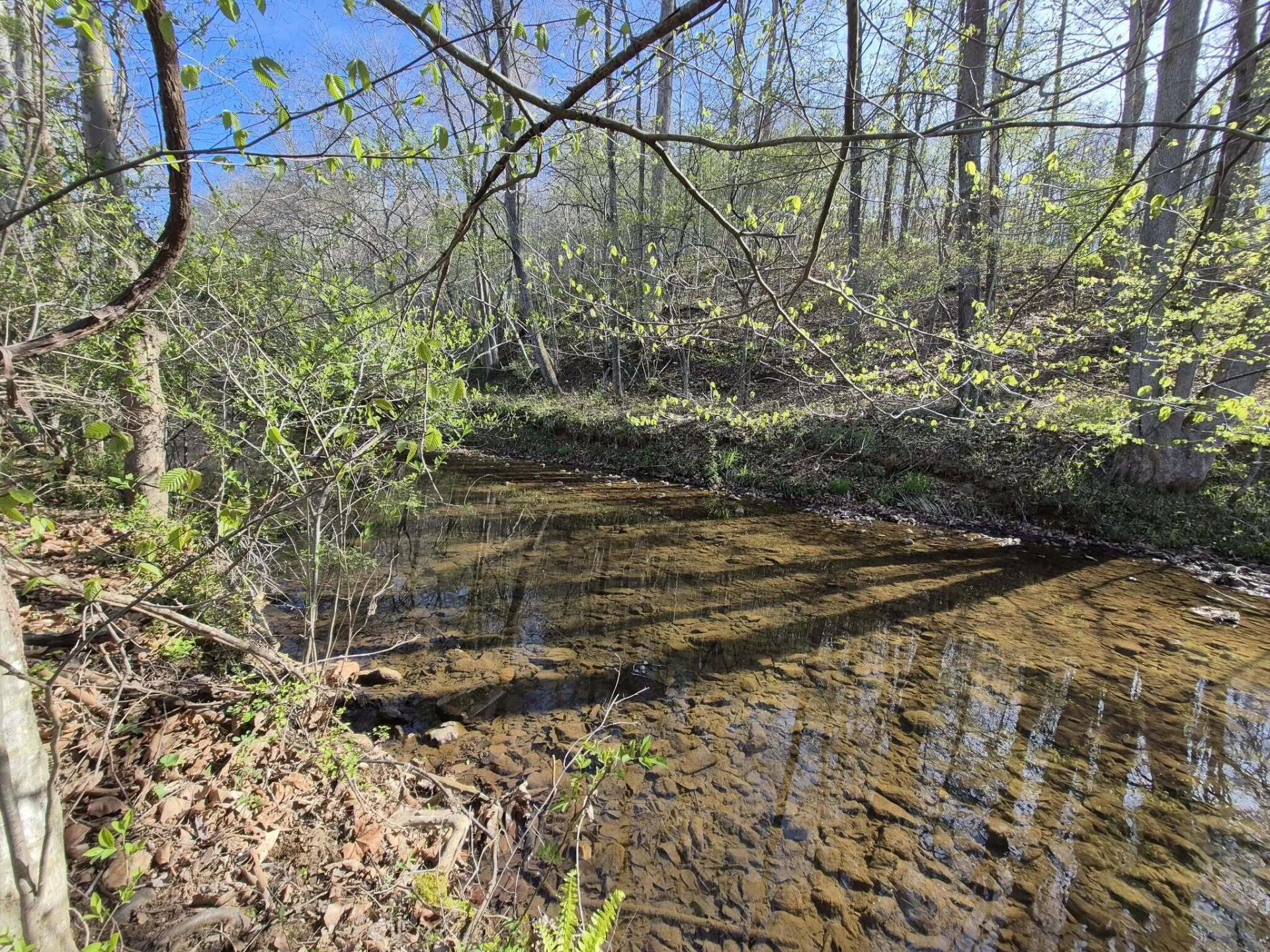 1232 Prillaman Switch RD - Photo 5