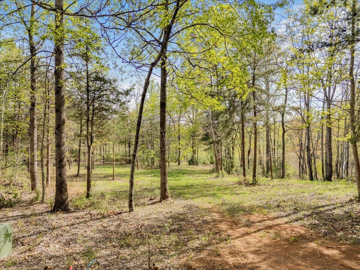Lot 1 Lakestone RD - Photo 17