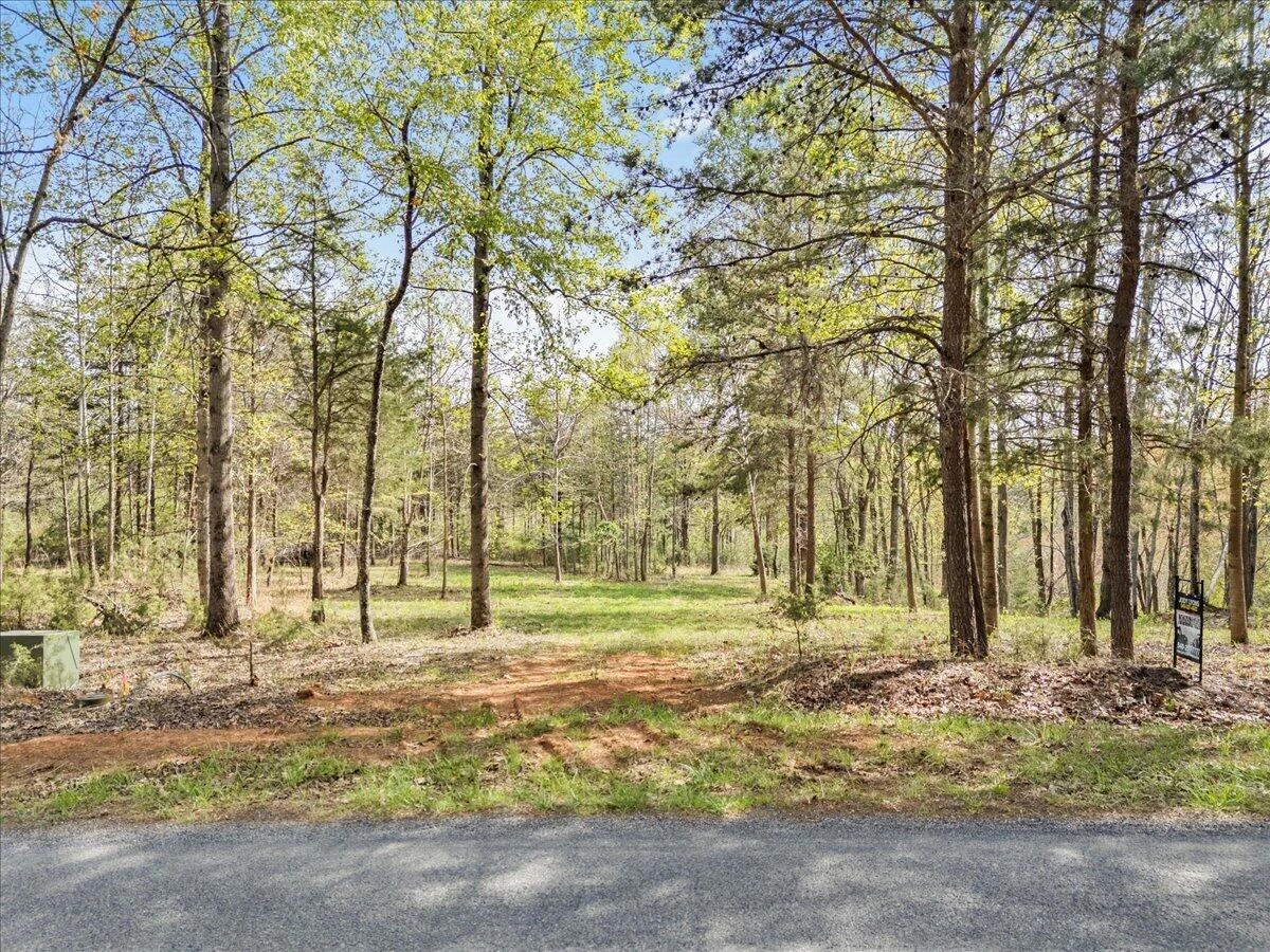 Lot 1 Lakestone RD - Photo 4