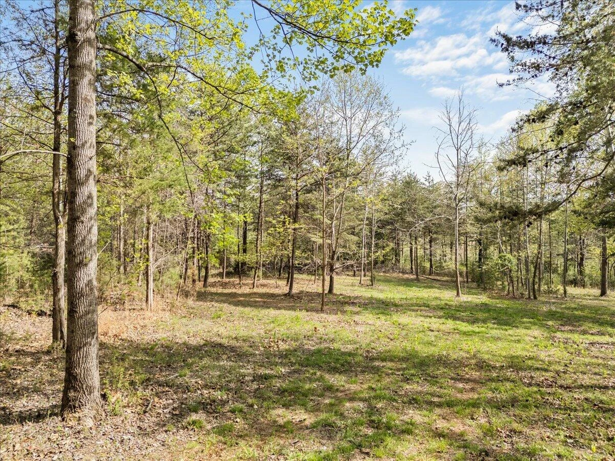 Lot 1 Lakestone RD - Photo 5