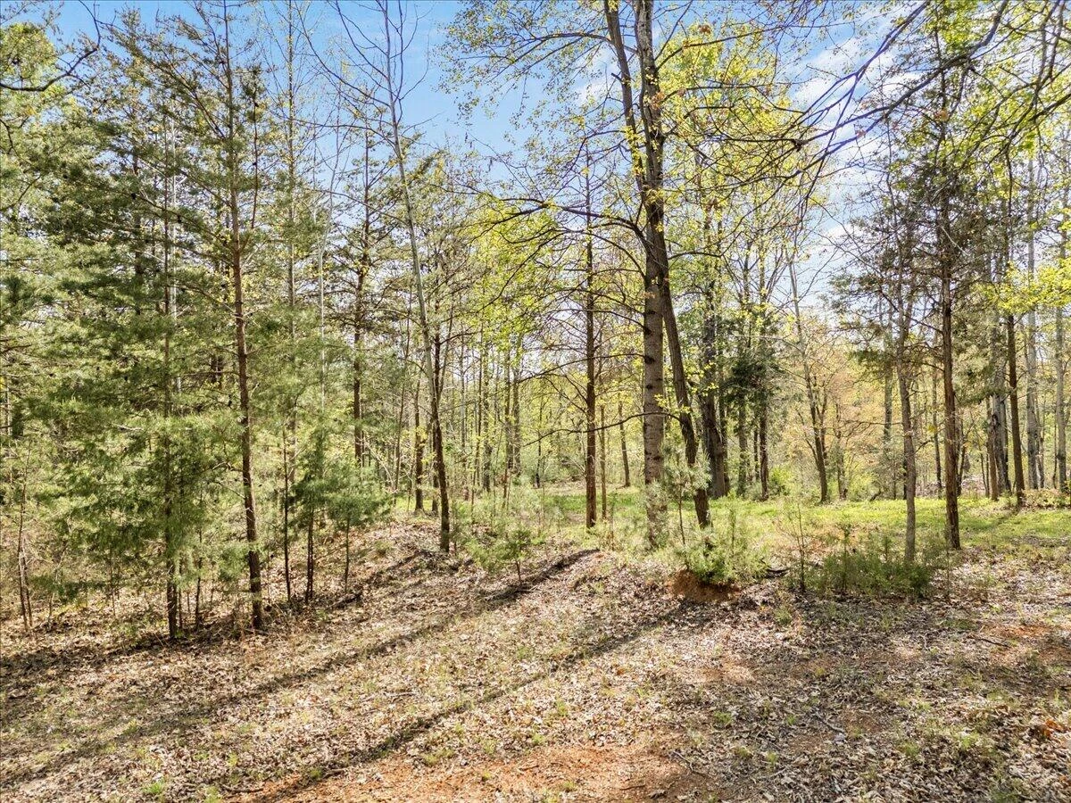 Lot 1 Lakestone RD - Photo 6