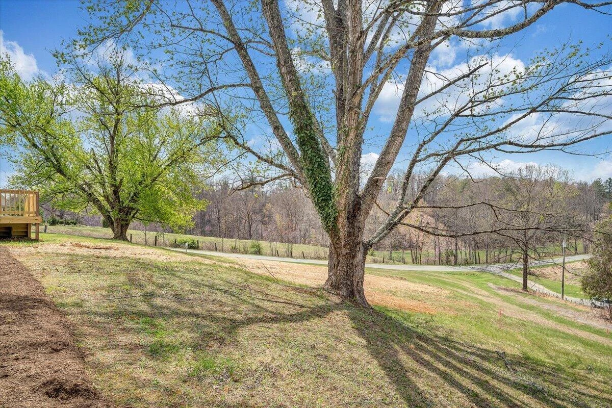 1993 Boones Mill RD - Photo 31