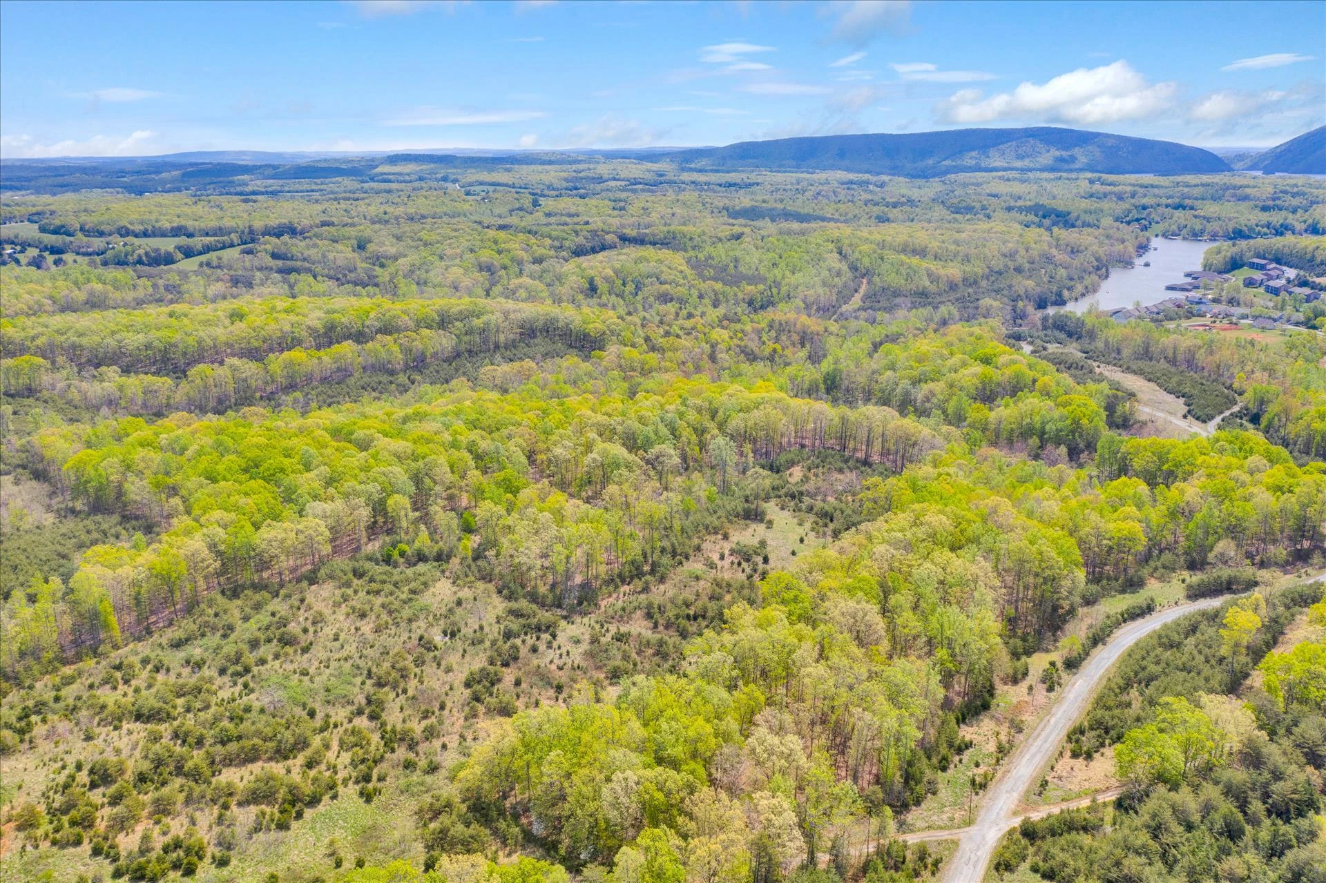 12274 Smith Mountain Lake PKWY - Photo 13