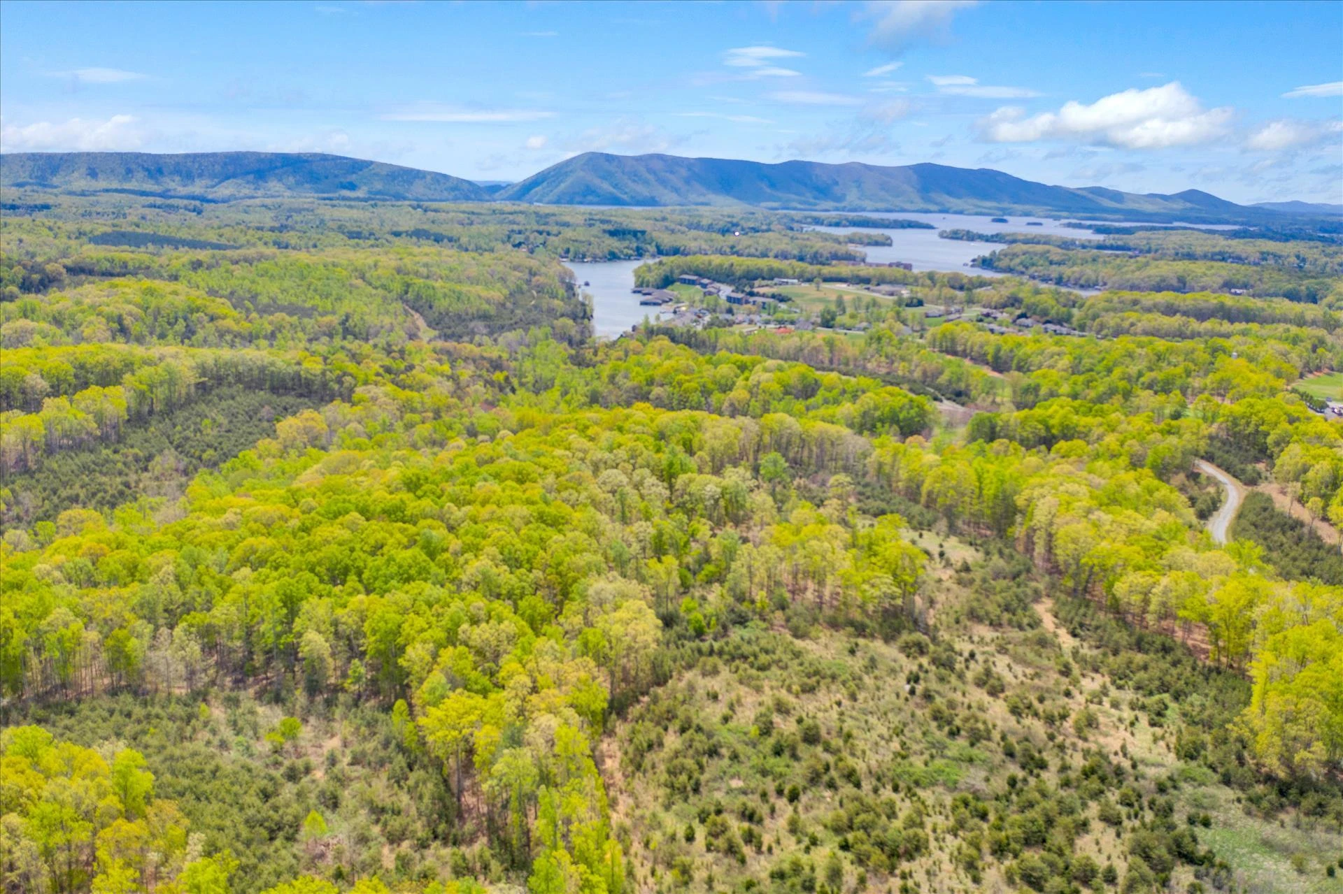 12274 Smith Mountain Lake PKWY - Photo 17