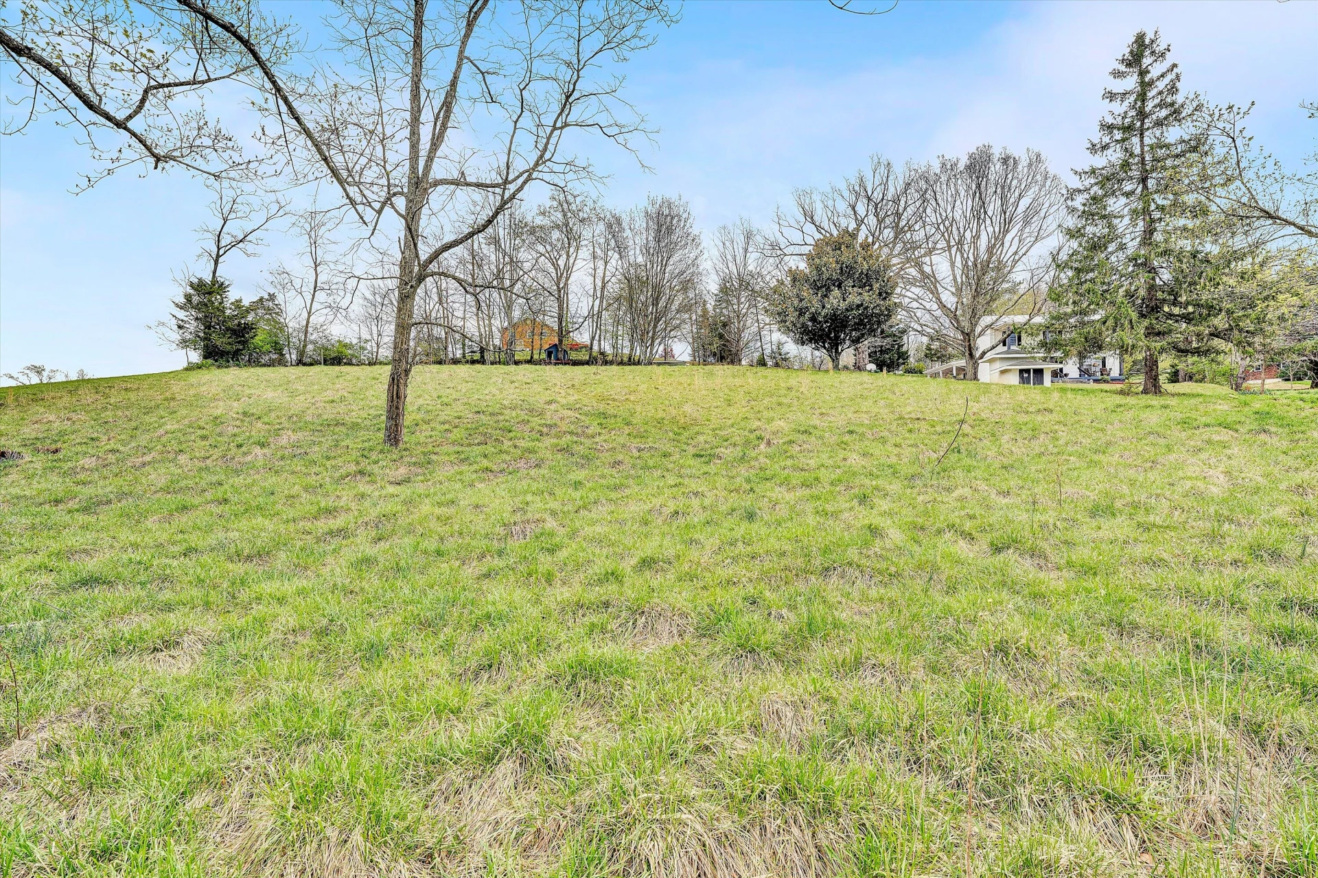 2238 Houston Mines RD - Photo 29