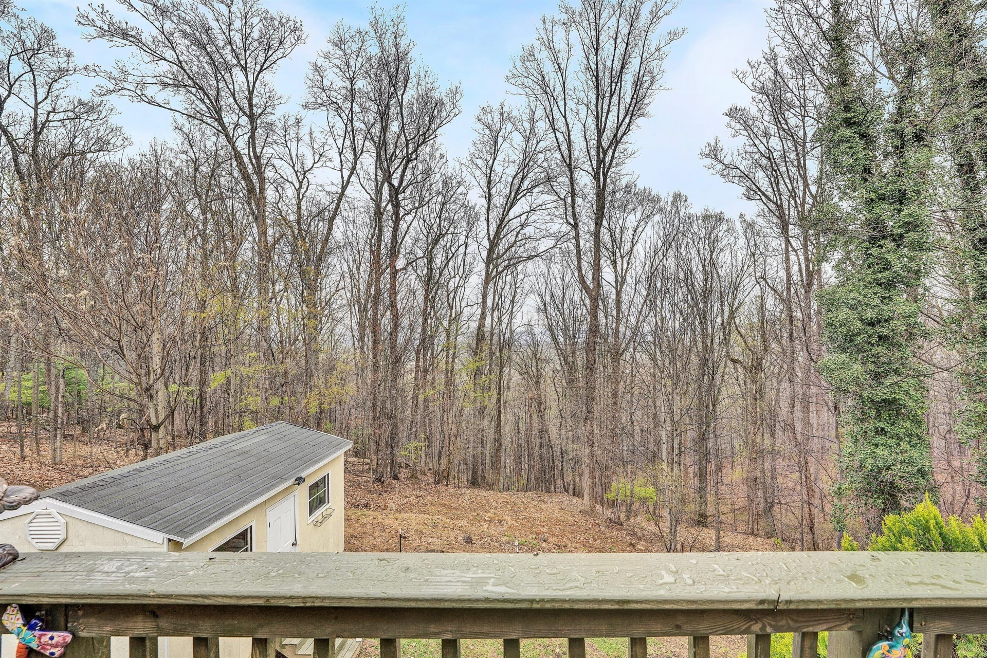 1005 Chestnut Mountain DR - Photo 47