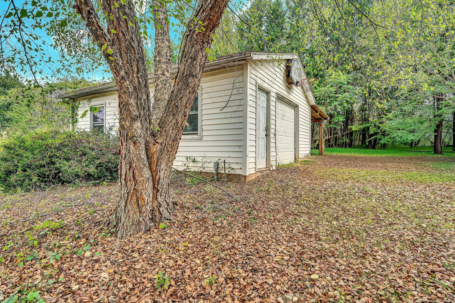 83 Springview CT - Photo 33