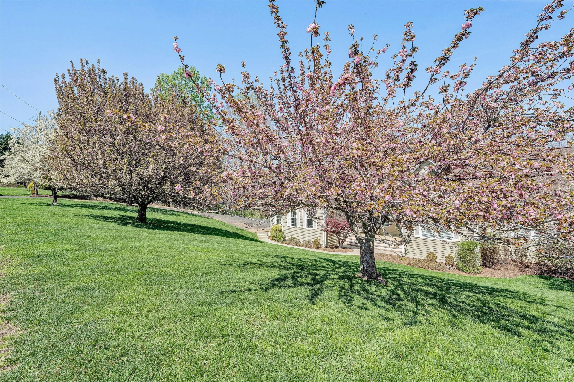 353 Deerpath DR - Photo 77