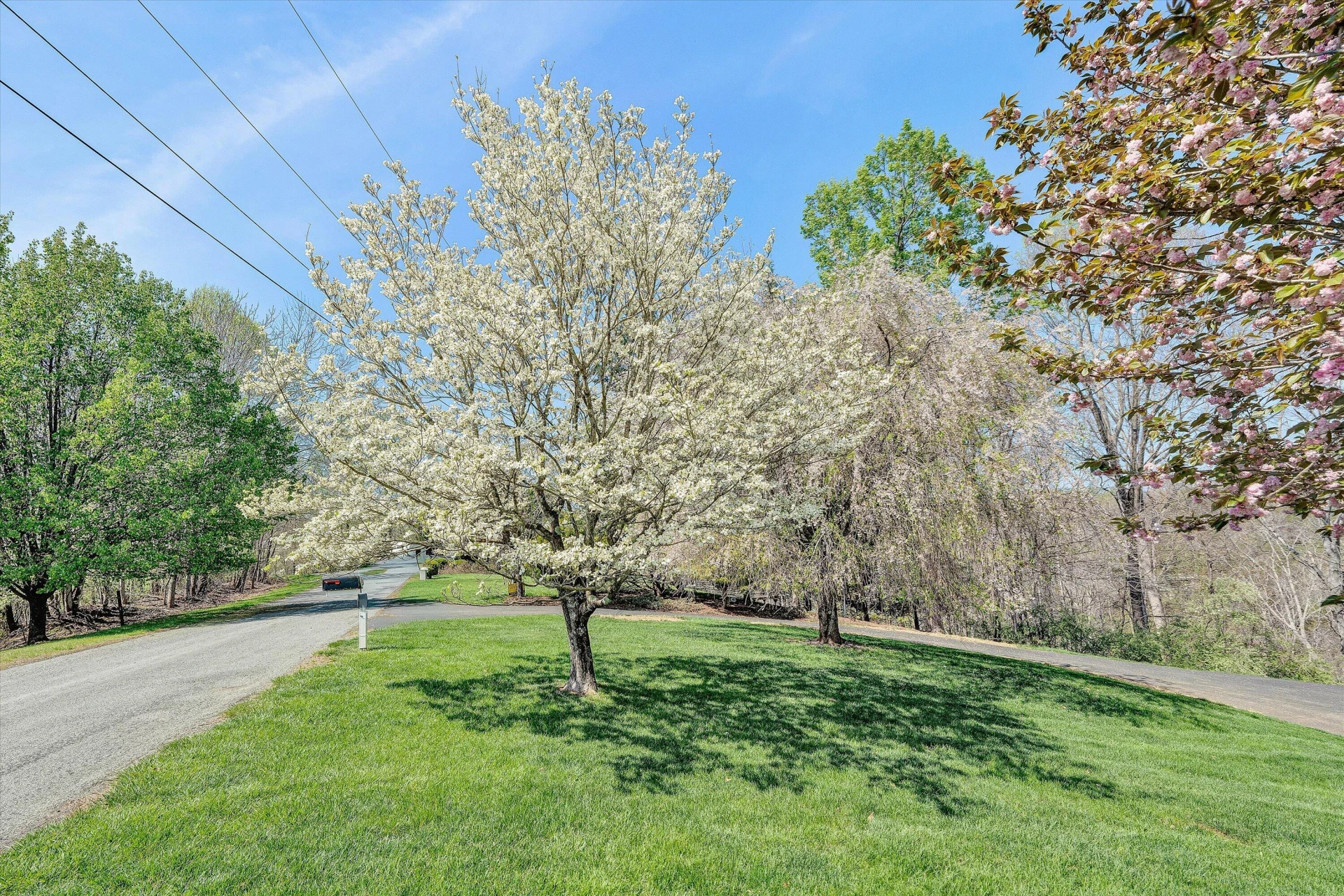 353 Deerpath DR - Photo 78