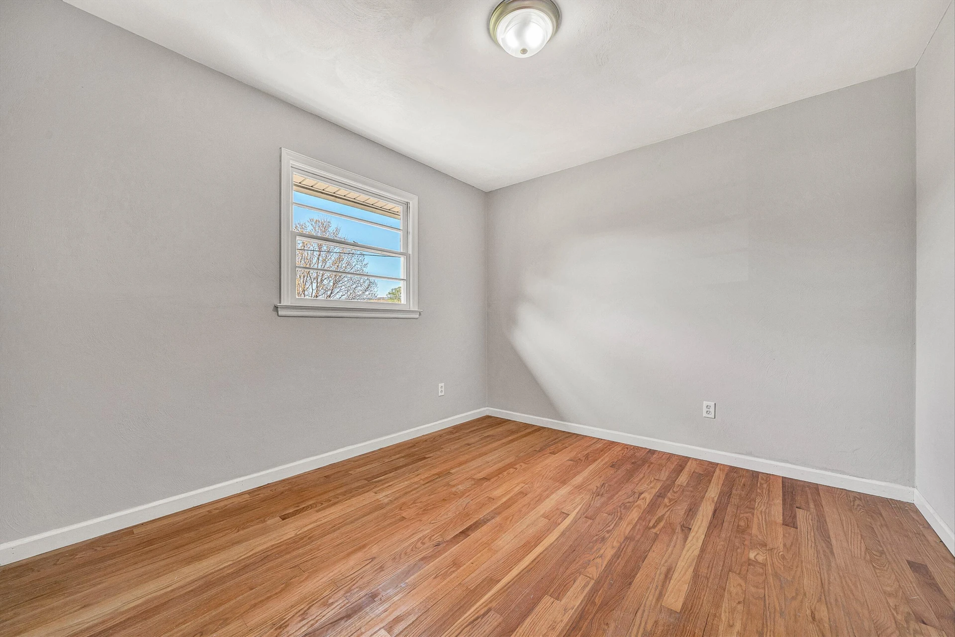 58 Lakeland CIR - Photo 19