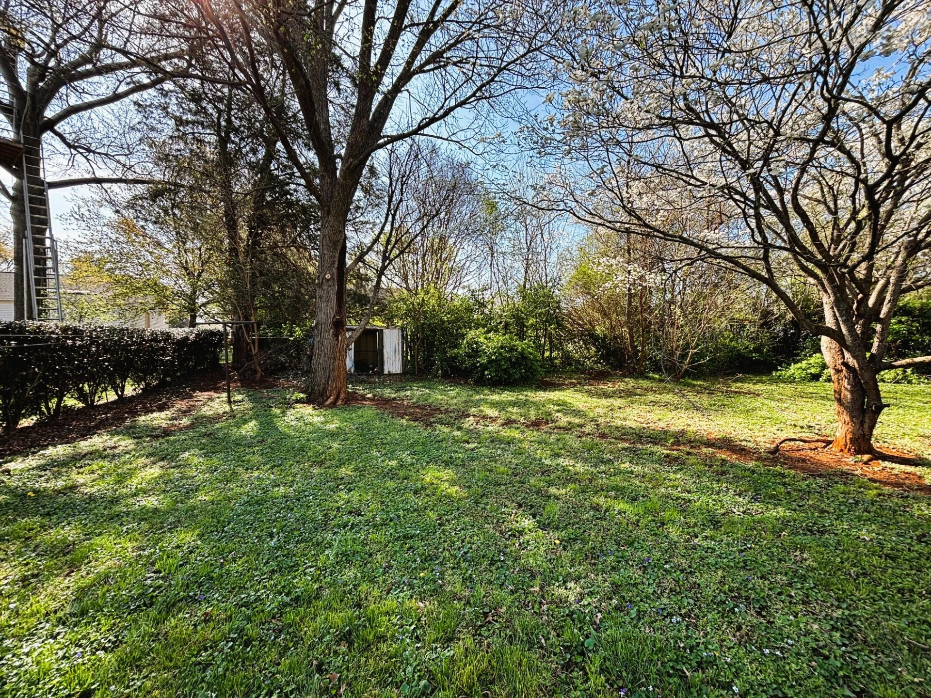 902 Whitney AVE NW - Photo 12